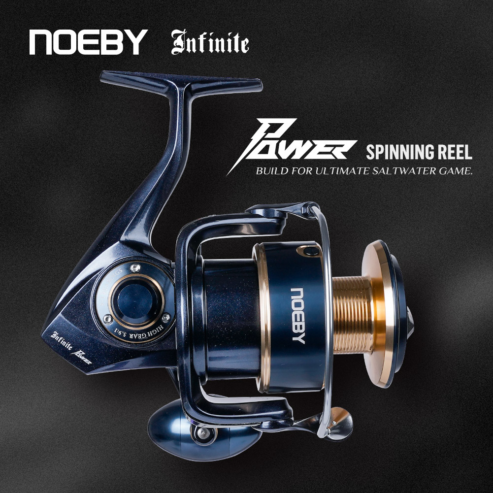 Noeby Infinite Power Spinning  - đánh giá và giá Daiwa Reel Bg