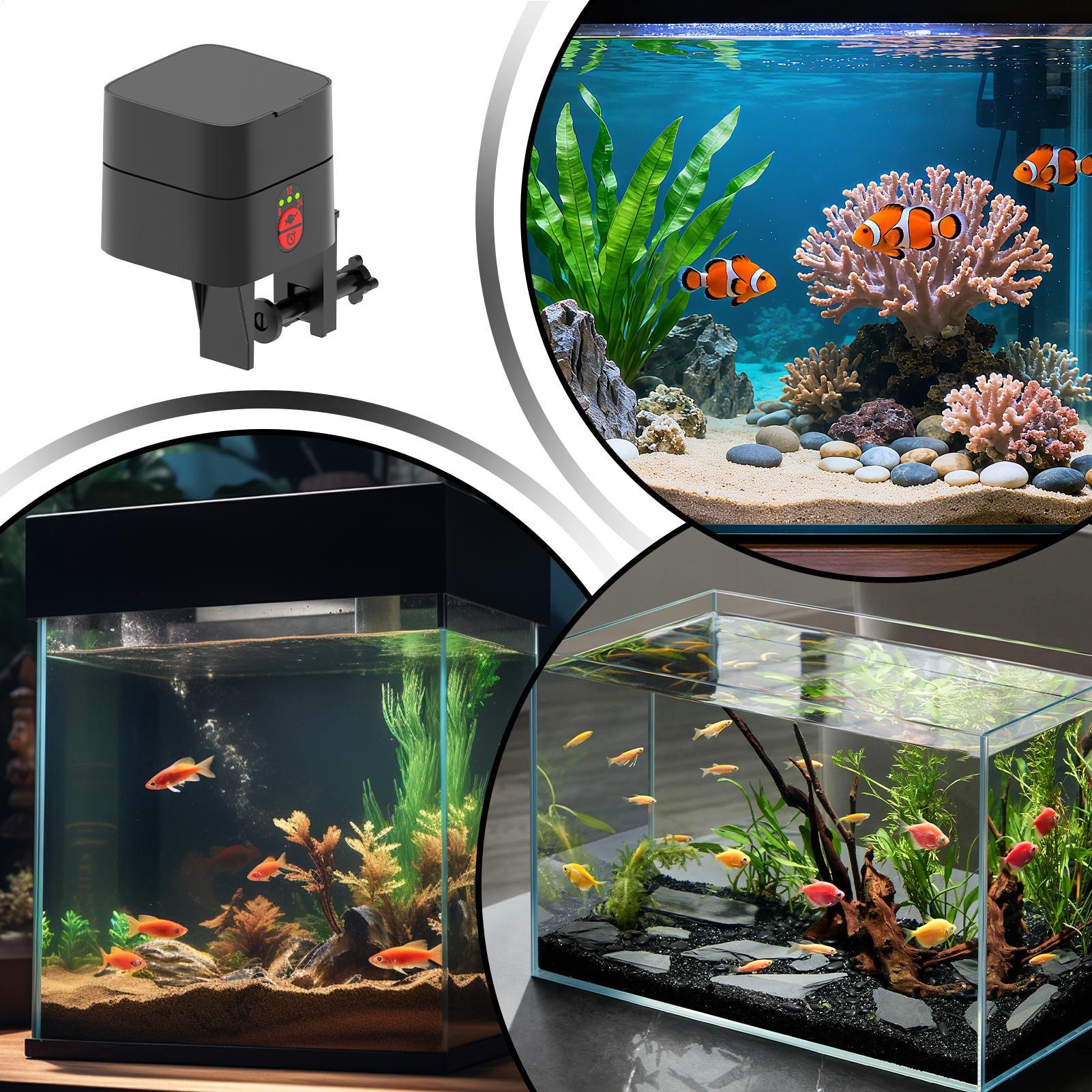 Auto Fish Feeder For Aquarium  - đánh giá và giá Fishing Line Dispenser